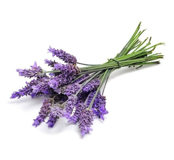 doTERRA Levendula (Lavender) illóolaj 15 ml