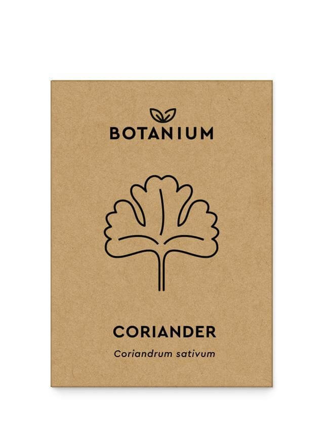 Koriander magok - Botanium